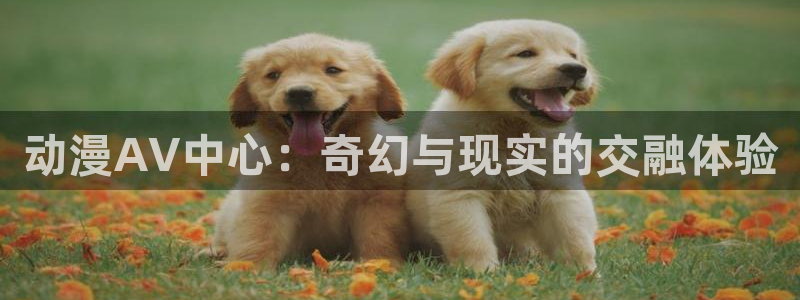58动漫网全网动漫全集免费观看：动漫AV中心：奇幻与现实的交融体验